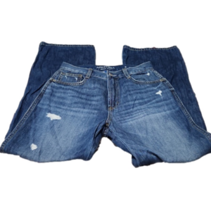 Arizona highest rise 90's dad jeans sz. 5